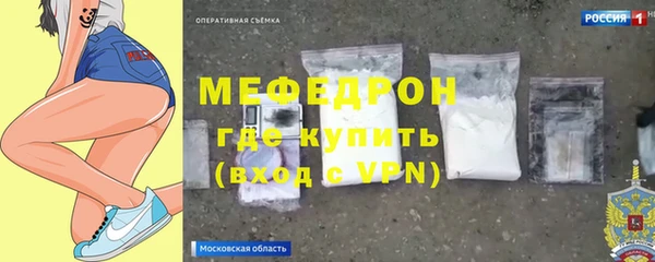 индика Вяземский