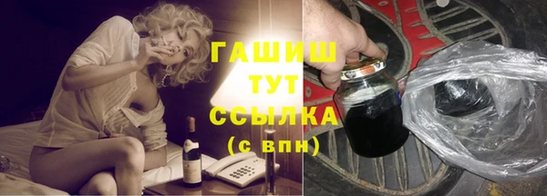 индика Вяземский