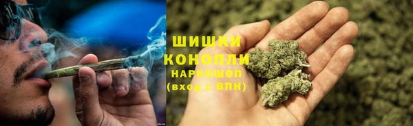 сатива Вязьма