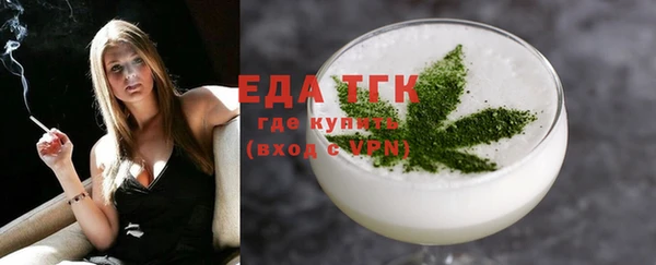 шишки Горняк