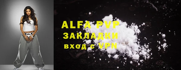 индика Вяземский