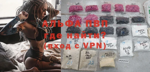 индика Вяземский
