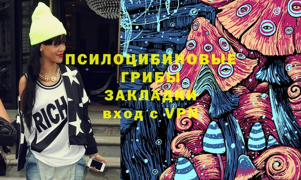 тгк Горно-Алтайск