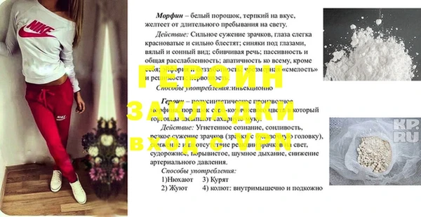 индика Вяземский
