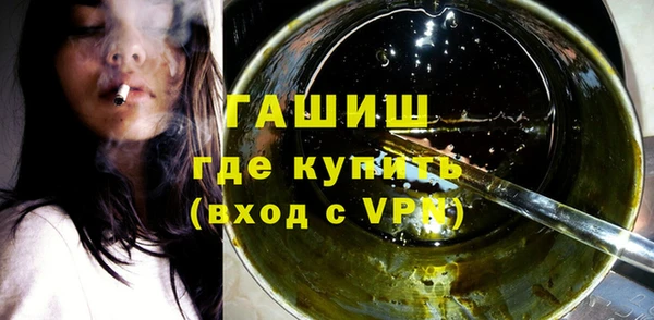 индика Вяземский