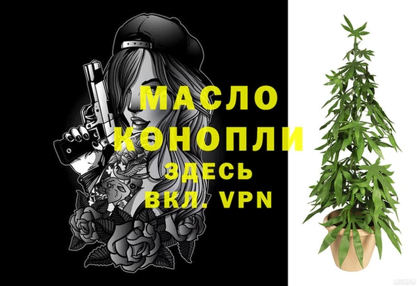 шишки Горняк