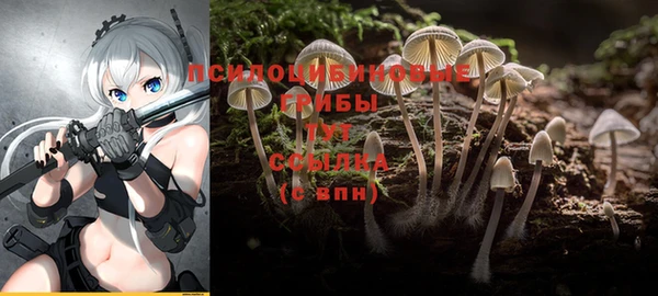 дмт Вязники