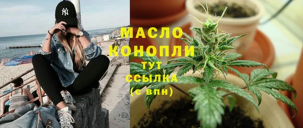 индика Вяземский