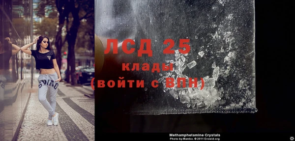 индика Вяземский
