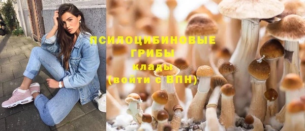 индика Вяземский