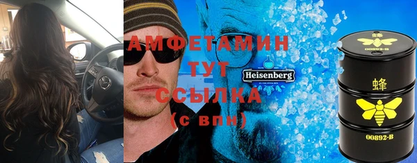 индика Вяземский