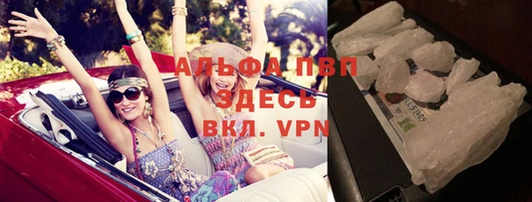 индика Вяземский