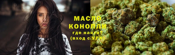 сатива Вязьма