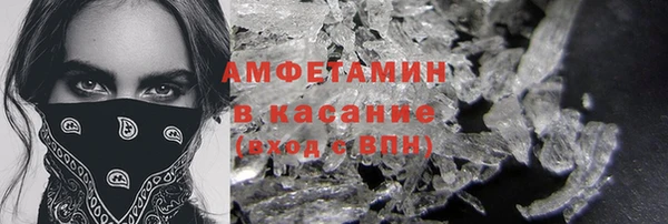 индика Вяземский