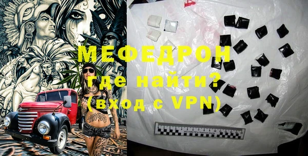 индика Вяземский