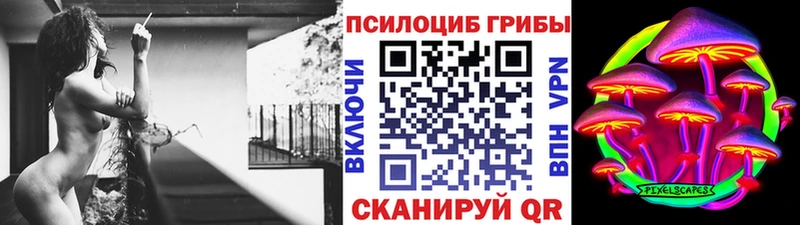 Купить где  Медногорск  Галлюциногенные грибы Magic Shrooms 